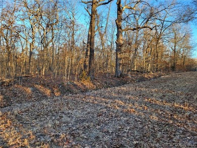 9.6 wooded acres in the gated Forbes Lake of the Ozarks Park - photo 28