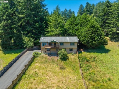 Nestled on over half an acre, this versatile 2-story home offers - photo 41