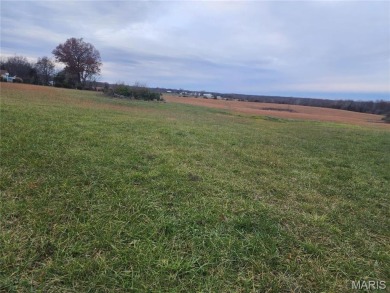 Mark Twain Lake Acreage Sale Pending in Santa Fe Missouri