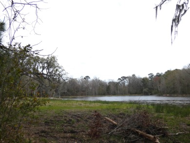Rainey Lake Acreage For Sale in Monticello Florida
