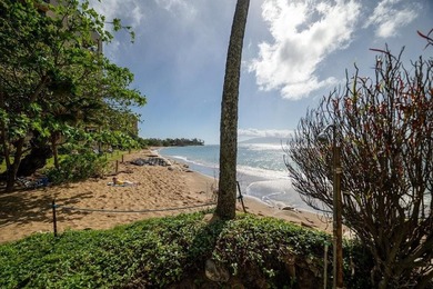 **MOTIVATED SELLER** MAKE OFFER! HOTEL ZONED!! Valley Isle - photo 33