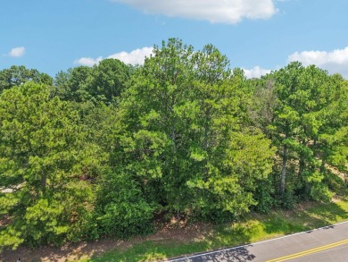 Lake Lot For Sale in Greensboro, Georgia