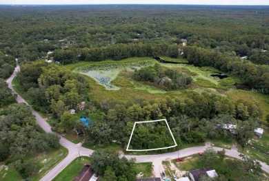 (private lake, pond, creek) Lot For Sale in New Port Richey Florida