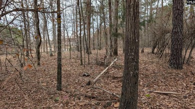 A fantastic two acre building lot located inside Lake Wateree's - photo 11