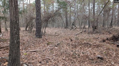 A fantastic two acre building lot located inside Lake Wateree's - photo 12