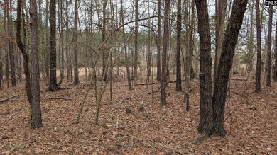 A fantastic two acre building lot located inside Lake Wateree's - photo 13