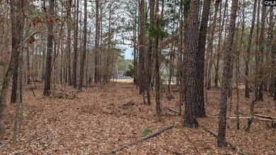 A fantastic two acre building lot located inside Lake Wateree's - photo 14