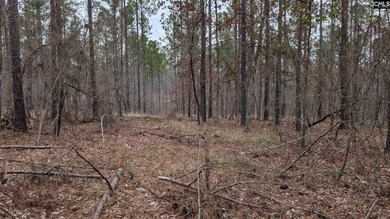 A fantastic two acre building lot located inside Lake Wateree's - photo 15