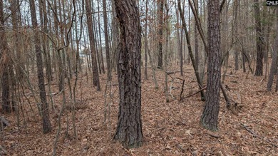 A fantastic two acre building lot located inside Lake Wateree's - photo 16