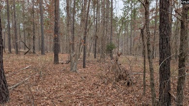 A fantastic two acre building lot located inside Lake Wateree's - photo 17
