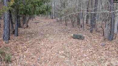 A fantastic two acre building lot located inside Lake Wateree's - photo 18