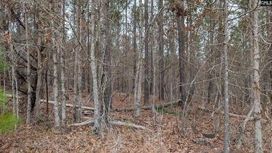 A fantastic two acre building lot located inside Lake Wateree's - photo 20