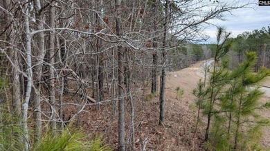 A fantastic two acre building lot located inside Lake Wateree's - photo 22