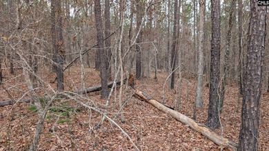 A fantastic two acre building lot located inside Lake Wateree's - photo 23