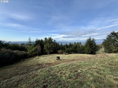 Build your dream home on this beautiful .60-acre parcel in - photo 25