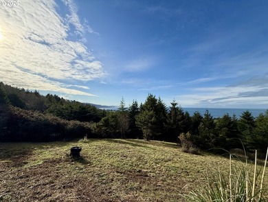 Build your dream home on this beautiful .60-acre parcel in - photo 31