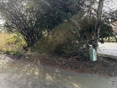 Build your dream home on this beautiful .60-acre parcel in - photo 33