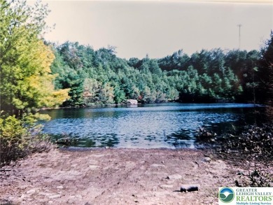 Lake Acreage For Sale in Tobyhanna Twp, Pennsylvania