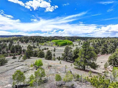 Located in Wildwood Recreational Village, this beautiful 5-acre - photo 1