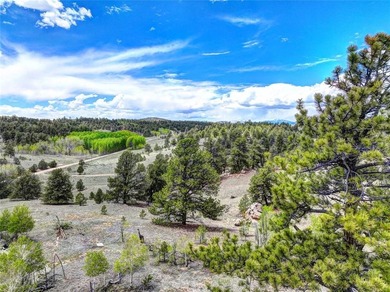 Located in Wildwood Recreational Village, this beautiful 5-acre - photo 2