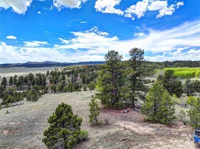 Located in Wildwood Recreational Village, this beautiful 5-acre - photo 4