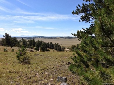 Located in Wildwood Recreational Village, this beautiful 5-acre - photo 6