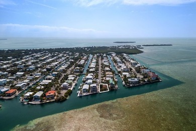 Excellent opportunity to build your dream in paradise. This 6 - photo 5