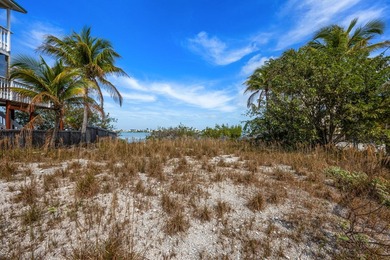 Excellent opportunity to build your dream in paradise. This 6 - photo 6