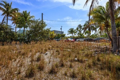 Excellent opportunity to build your dream in paradise. This 6 - photo 7