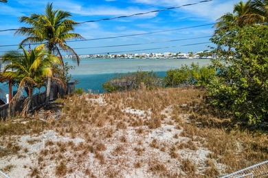 Excellent opportunity to build your dream in paradise. This 6 - photo 8