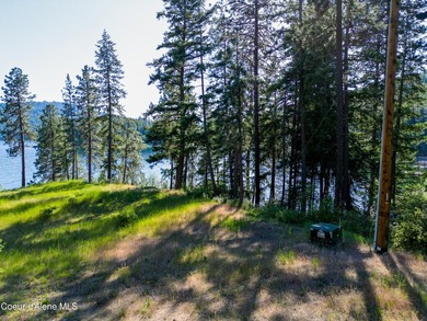 One of the most iconic waterfront parcels on Lake Coeur - photo 17