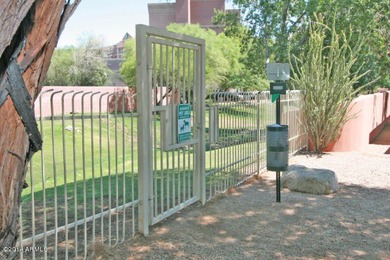 Your Oasis in Paradise, Look No Further! Located in the Tatum - photo 51