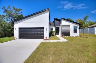 Lake Marion - Polk County Home For Sale in Poinciana Florida