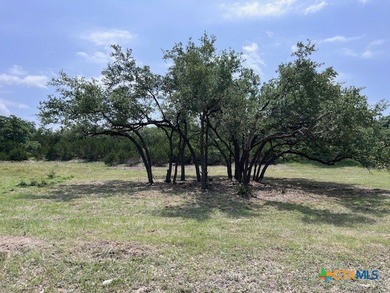 Priced to sell! 1/2 acre lot with great seclusion in the back - photo 13