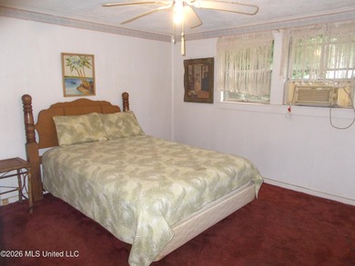 Lakefront Opportunity on Snow Lake - Endless Potential! Bring - photo 17