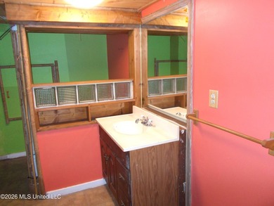 Lakefront Opportunity on Snow Lake - Endless Potential! Bring - photo 28