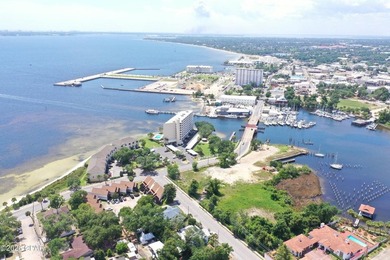 Pelican Pass at Massalina Bayou presents a rare opportunity to - photo 20