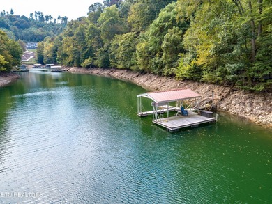 Beautiful Lakefront home on Norris Lake, in hickory Pointe - photo 28