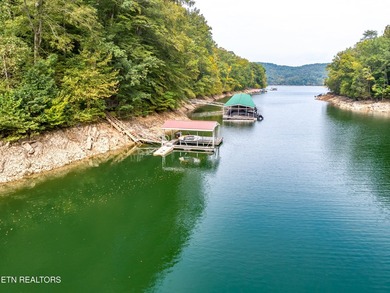 Beautiful Lakefront home on Norris Lake, in hickory Pointe - photo 29