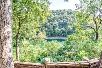 Beautiful Lakefront home on Norris Lake, in hickory Pointe - photo 31