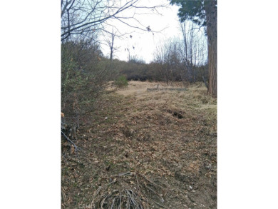 Lake Lot For Sale in Cedar Glen, California