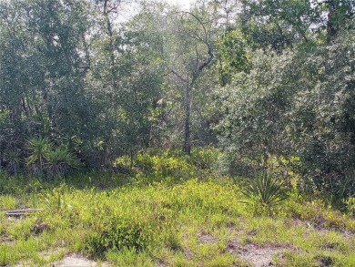 Lake Marion - Polk County Lot For Sale in Kissimmee Florida