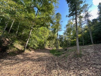 REDUCED: $159,000 40+/-ACRES LOCATED DIRECTLY OFF OF KY 7 MIDWAY - photo 11