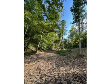 REDUCED: $159,000 40+/-ACRES LOCATED DIRECTLY OFF OF KY 7 MIDWAY - photo 12