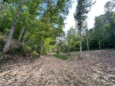 REDUCED: $159,000 40+/-ACRES LOCATED DIRECTLY OFF OF KY 7 MIDWAY - photo 13