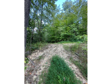 REDUCED: $159,000 40+/-ACRES LOCATED DIRECTLY OFF OF KY 7 MIDWAY - photo 15