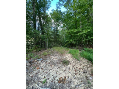 REDUCED: $159,000 40+/-ACRES LOCATED DIRECTLY OFF OF KY 7 MIDWAY - photo 16