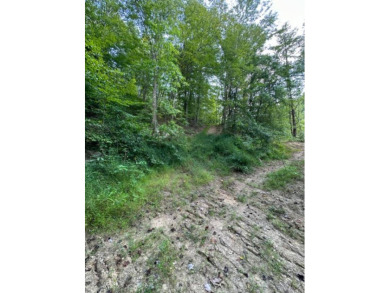 REDUCED: $159,000 40+/-ACRES LOCATED DIRECTLY OFF OF KY 7 MIDWAY - photo 17