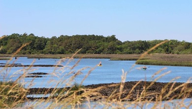 Welcome to Sandrigde Park, located in Little River. The area is - photo 38