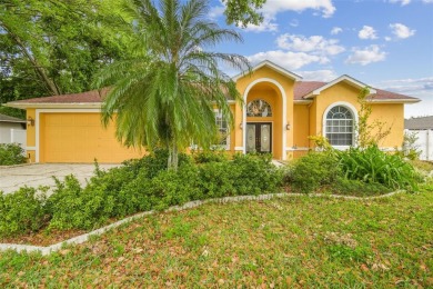 Lake Home For Sale in Land O Lakes, Florida